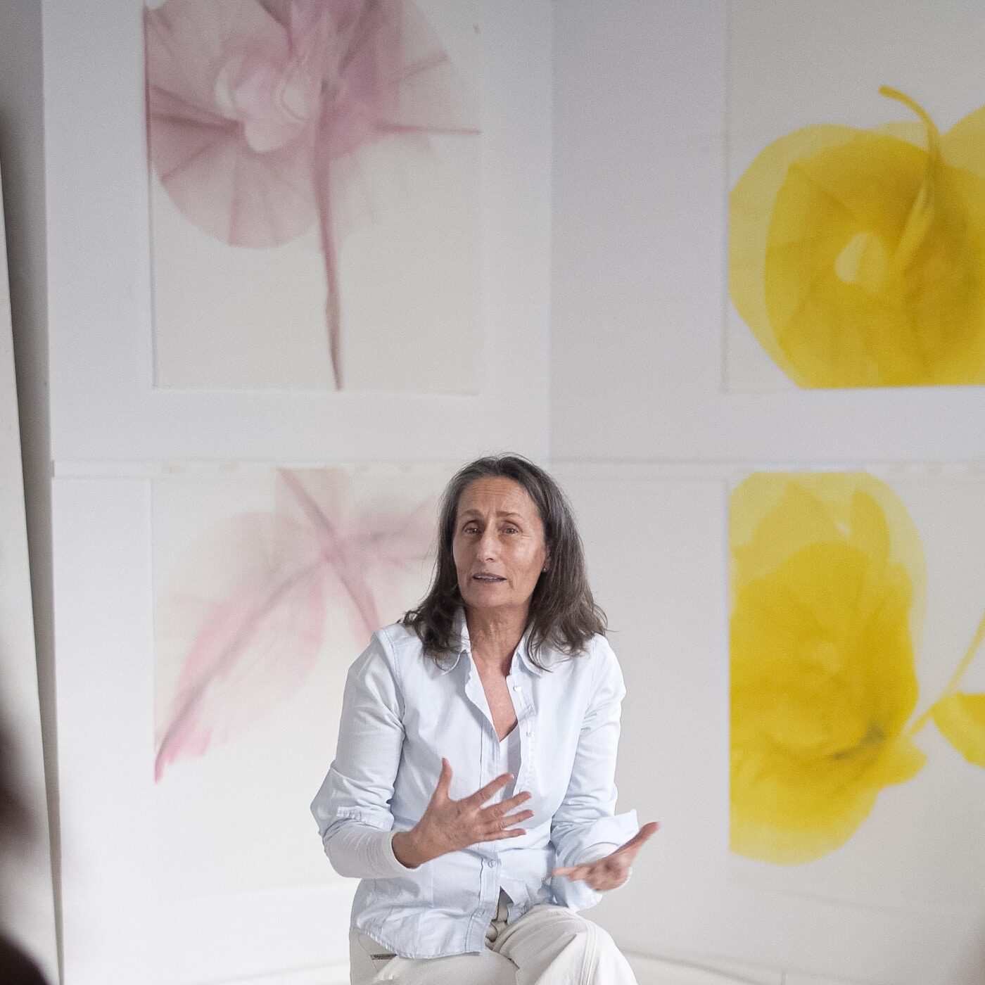 artist may carro cabaleiro